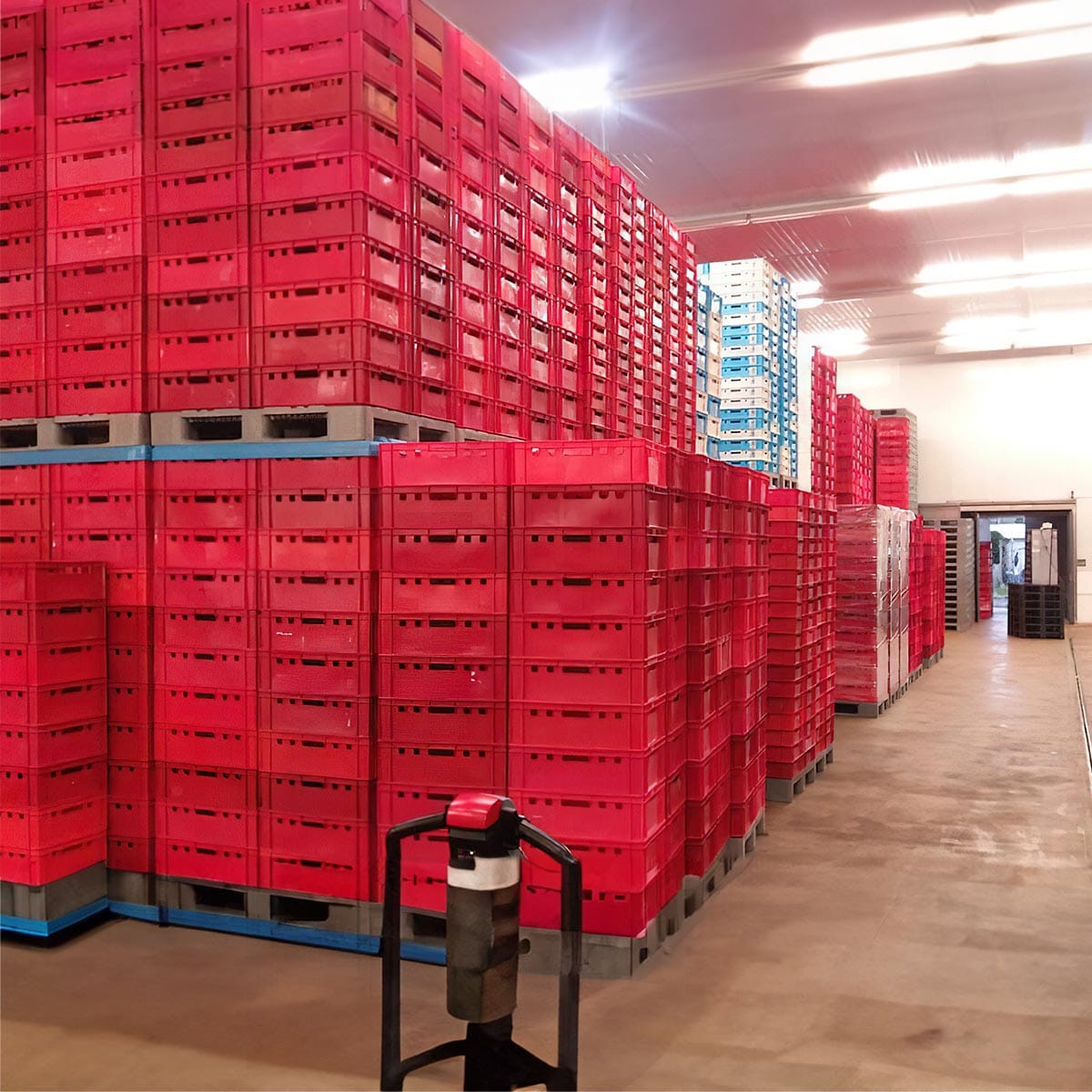 HDPE first long side red