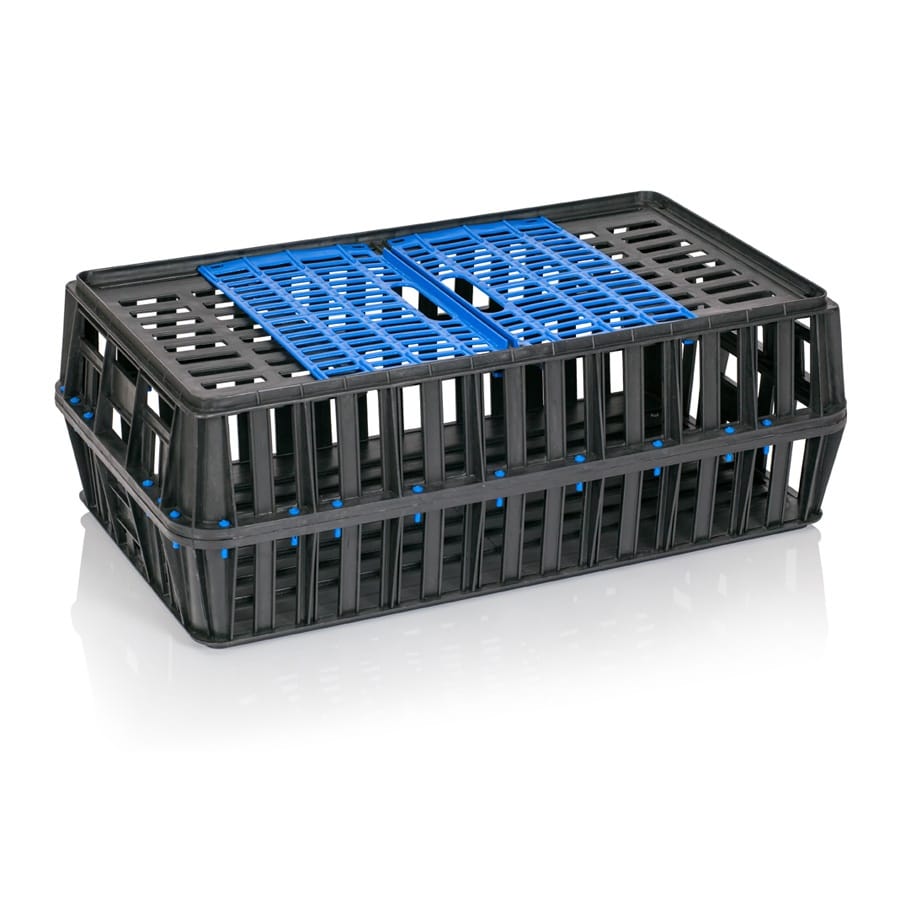 ΠΟΥΛΕΡΙΚΑ ΤΕΛΑΡΟ 0123 1